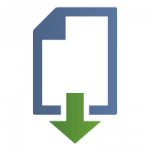Icon File